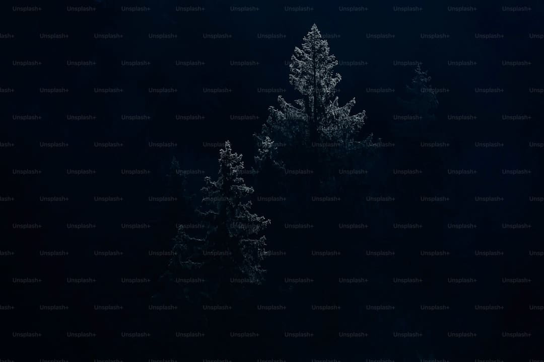http://n.sinaimg.cn/news/transform/w600h400/20180314/gp7e-fysfxpr6467526.jpg?zdy